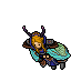 Outfit_Moth_Cape_Female